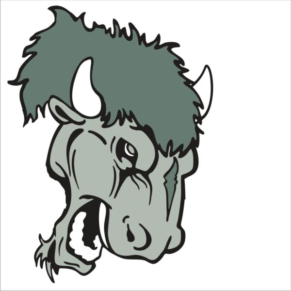 AR BUFFALO 19 RC Thumbnail